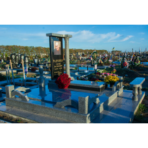 Пам`ятник з колоною та оградою 